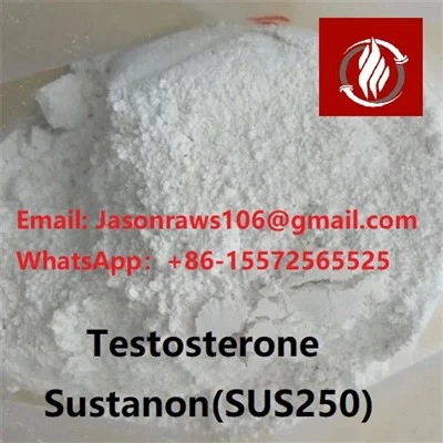 Testosterone Sustanon 250 Powdwr Ar gyfer Bodybuilding