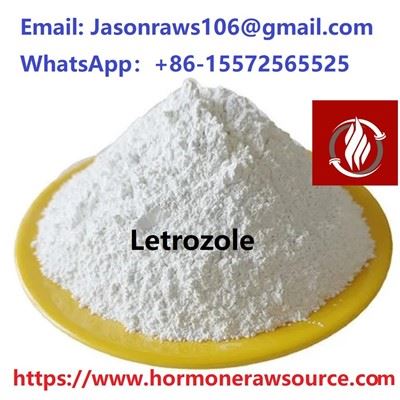 Letrozole(Femara) Powdwr ar gyfer Corffadeiladu CAS:112809-51-5