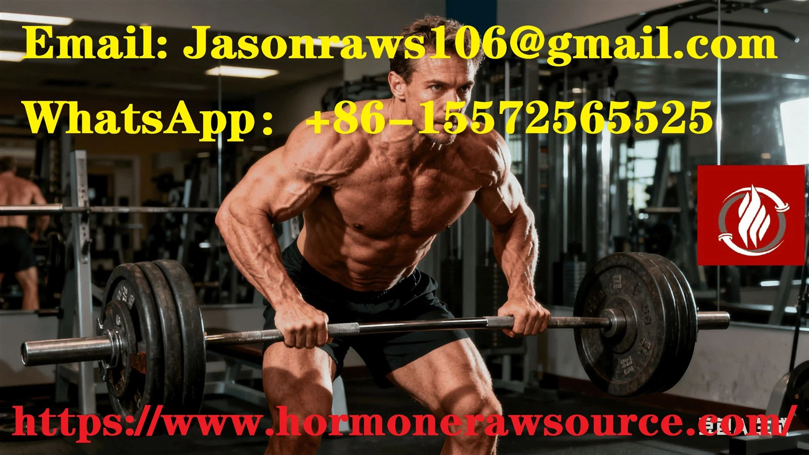 bodybuilding1 bodybuilding1