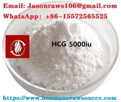 HCG (gonadotropin corionig dynol) powdr ar gyfer Casybuilding CAS: 9002-61-3