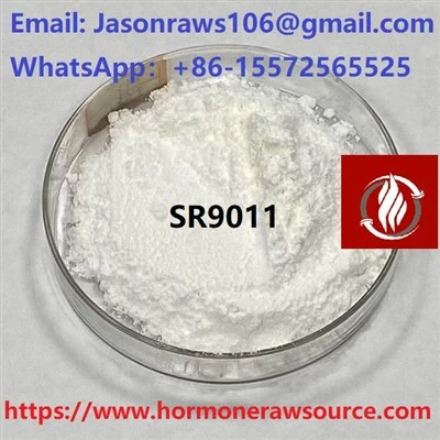 SR9011 Powdwr ar gyfer Cas Bodybuilding: 1379686-29-9