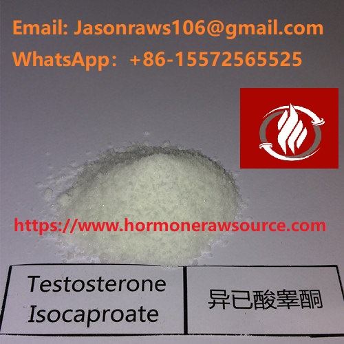 Testosterone Isocaproate Deunydd Crai Powdwr Ar gyfer Bodybuilding CAS: 15262-86-9